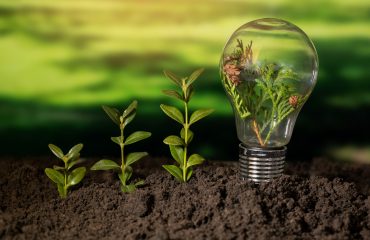 sustainable-development-goals-still-life